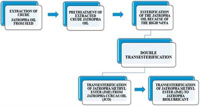 Optimization of the process variables on biodegradable industrial lubricant basestock synthesis from Jatropha curcas seed oil via response surface methodology